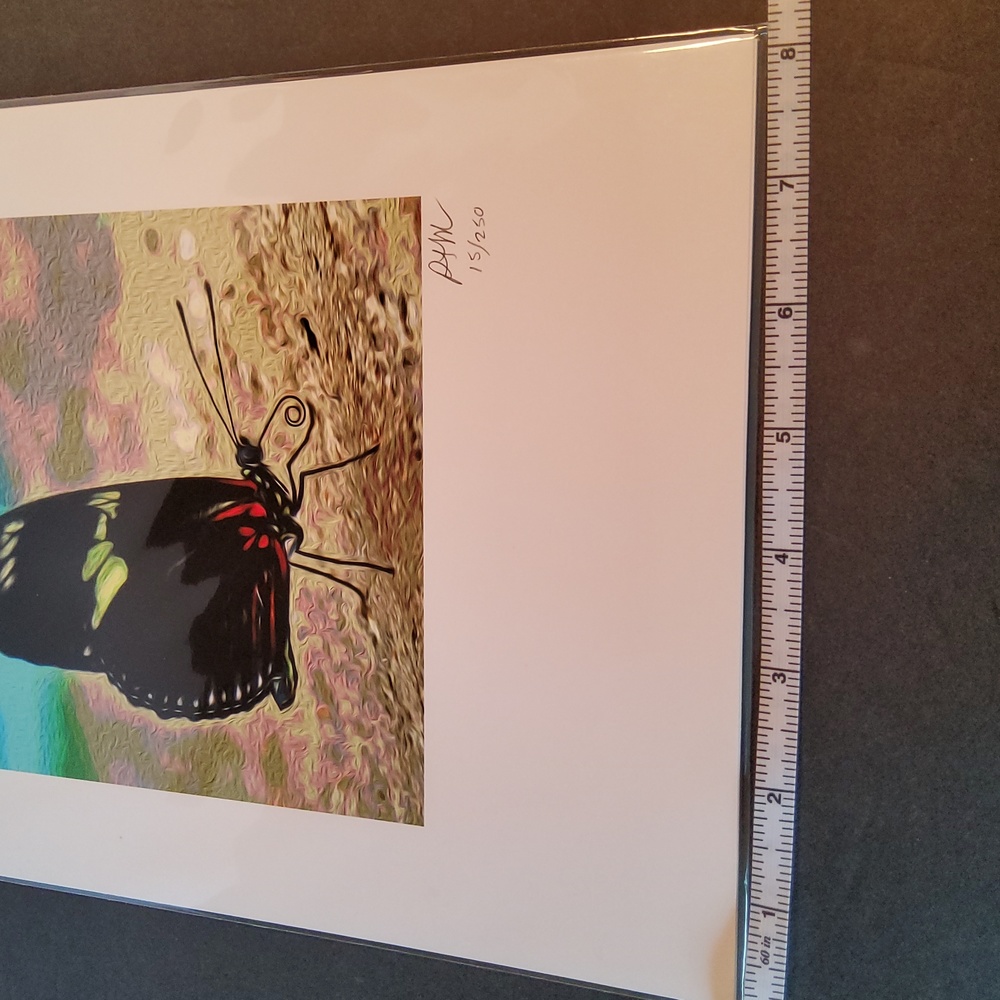 Butterfly print 15/250 Peter James Maurer - Picture 5 of 8